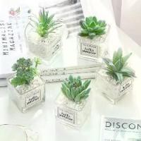 ราคา พร้อมส่ง ต้นไม้ปลอม พร้อมกระถางแก้ว กุหลาบหินปลอม ตะบองเพชรปลอม กระบองเพชรปลอม ต้นไม้ประดิษฐ์ (1734566833848616378)