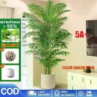 ราคา แถมฟรีหิน กระถางต้นไม้ปลอมใหญ่ ต้นไม้ปลอม สูง115ซม24ใบไม้ สไตล์นอร์ดิก ในบ้าน ความจำลอง 99% ต้นไม้ปลอม คลังสินค้า ปลูกต้น ชา ดัด ก้อน เชื้อ เห็ดฟาง ต้น จามจุรียักษ์ กาญจนบุรี (1733152683915183915)