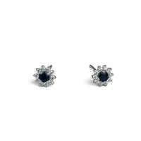 ราคา Pailind ต่างหูเงินแท้ 925 ประดับไพลินแท้(sapphire)ล้อมเพชรรัสเซีย ชุบทองคำขาว (1732396806700631298)