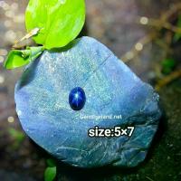 ราคา สตาร์ไพลินสีน้ำเงิน(Blue Star Sapphire) size:5x7 (1732423362541094579)