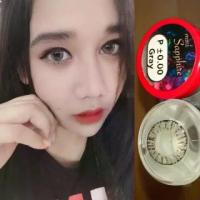 ราคา Sapphire Gray / mini Sapphire Gray เทา Pitchy Lens บิ๊กอาย โทนหวาน ทรีโทน สีเทา Contact Lens Bigeyes คอนแทคเลนส์ (1730294772046530859)