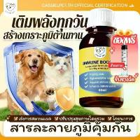 ราคา Cassiel อาหารเสริมโภชนาการภูมิคุ้มกันสำหรับสัตว์เลี้ยง อาหารเสริมวิตามินสุนัข เสริมภูมิคุ้มกัน วิตามินรวม อาหารเสริม คําแนะนําผลิตภัณฑ์ใหม่ของเดือนนี้ (1734601793047135240)