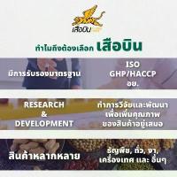 ราคา ขายดี แนะนำ ถั่วลิสงดิบ 1 กิโลกรัม ตราเสือบิน | (Peanut Bean) ข้าว หอม มะลิ แท้ เหนียวก ข6 pp ข้าวสาร ราคา โรงงาน โป่ง แผ่น ดิบ (1734513487348401264)