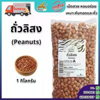 ราคา ถั่วลิสง 1 กิโลกรัม ตราเสือบิน ถั่วลิสงดิบ คัดพิเศษ เกรด A Peanut Bean Flying Tiger ขายร้อน (1733240473164613137)