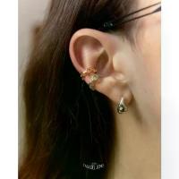 ราคา CODJulys - whisk ear cuff (ต่างหูแบบหนีบ ราคาต่อชิ้น)TikTok (1733511390796612694)