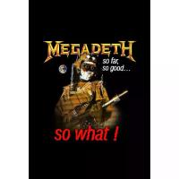 ราคา Megadeth Poster, Rock Poster, Room Decoration, Wall Decoration, Music Band Poster, Wall Poster, Rock Band Poster, Collectible Frame Poster (1734366083955721944)
