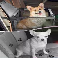 ราคา 【JING】 Dog Car Seat,Scratch Proof Durable Pet Booster Front Seat Puppy Safety Belt Stable Foldable Travel (1735409346249918312)