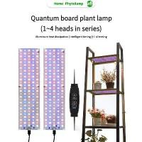 ราคา [Lighting] USB 5V LED Plant Grow Light Quantum Board Full Spectrum Lamp for Indoor Greenhouse Nursery Hydroponic Succulent Seedling Use (1735180709414864388)