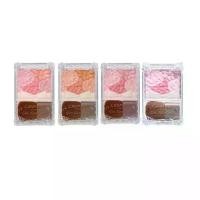 ราคา พร้อมส่ง. Canmake Glow Fleur Cheeks Canmake Glow Fleur Cheeks Translucent Powder Blush X 1 Piece Abcmall (1734408408813372870)