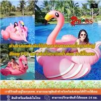 ราคา ห่วงยางเป่าลมนกฟลามิงโก้ Flamingo Swim Ring ห่วงยางลอยน้ำสีชมพู PVC คุณภาพดี สำหรับเด็กและผู้ใหญ่ เล่นน้ำสระ ลงทะเลเก๋ๆ สปอตสินค้า (1735370872065787715)