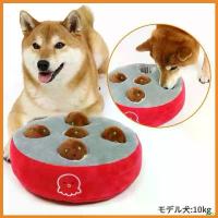 ราคา autoptshop แบบพกพา PET PARADISE NOSE WORK TOY - ของเล่นฝึกทักษะในการดม ปอมเมอเรเนียน แท้ กล่อง เดินทาง สุนัข ไซส์ xxl (1730348159138302132)