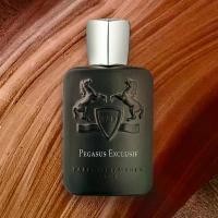 ราคา น้ำหอมแบรนด์ น้ำหอม แบรนด์ดัง Pegasus Exclusif for men 125ml น้ำหอมผู้ชายติดทนนาน (1735299237801723094)
