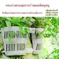 ราคา ลดราคา การปลูกกล้วยไม้สกุลหวายพลาสติกเลียนแบบกระถางดอกไม้ป่า (1735409692218066696)
