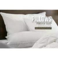 ราคา หมอน Bedding Cheap หมอนขนเป็ด รุ่น Pillow Land Microgel หมอนยางพารา (1735336081420354587)