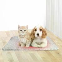 ราคา auto-Warming Cat Bed Pad auto-Heating Thermal Cat Dog Bed Mat Washable Warm Thermal Pet Pad Soft Thickened Blanket Pad for Indoor Cats & Small Dogs (1734815560181843073)