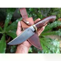 ราคา โบวี่ มีดพก มีดโบวี่ bowie knife มีดแคมป์ มีดเดินป่า ใบ 6.1” เหล็กตลป. USA ตีร้อน ด้ามประดู่เสือ การ์ดทองเหลือง ซองหนัง (1735473068034393677)