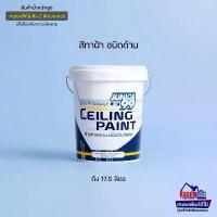 ราคา NIPPON PAINT สีนิปปอน จูเนียร์ 99 สีทาฝ้า ชนิดด้าน ถังใหญ่ 17.5 ลิตร Junior 99 Ceiling Paint MATT สีทาฝ้า นิปปอน (1734453795269084517)