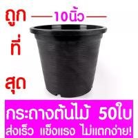 ราคา กระถางต้นไม้กระถางต้นไม้ กระถางพลาสติก ขนาด 10 นิ้ว 50ใบ กระถางกลม กระถางต้นไม้พลาสติก กระถางปลูกต้นไม้ กระถางดำ กระถางพลาสติกดำ Flower pot (1735189256541734704)