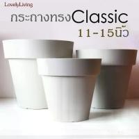ราคา [COD] [Tiktok]กระถางทรงเตี้ย รุ่น Classic กระถาง 11 นิ้ว กระถางต้นไม้ กระถาง 13 นิ้ว กระถางพลาสติก กระถาง 15 นิ้วทรงเตี้ย หัวฉีด นํ้า แรง ดัน สูง ยาทา มีด กรีด ยาง ตาข่าย สีฟ้า ป (1733528088219649846)