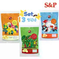 ราคา เซ็ต3ซอง S&P คุกกี้เลือกรสได้ S&P Cookies (Milk, Butter, Pandan, Coffee) 85g. Pack 3 (1735367824856418248)