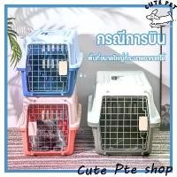 ราคา กรงหิ้ว กล่องใส่สัตว์เลี้ยง กรงเดินทาง สำหรับสุนัขและแมว สัตว์เลี้ยง กรงแมว กรง หมา ที่นอนแมว กรงหิ้ว กล่องใส่สัตว์เลี้ยง (1735453386096280596)