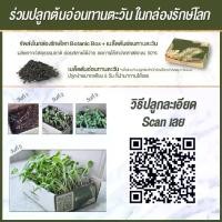 ราคา แว่นตา เลนส์กรองแสง สีดำ กรองแสงสีฟ้าสูงสุด95% กันUV99% แว่นตา กรองแสง Botanic Glasses วินเทจ ทรงหยดน้ำ (1731715974794347569)