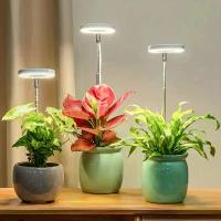 ราคา LED Grow Light, Full Spectrum Plant Lamp, Adjustable and Dimmable, Growing Lamp, LED Hydroponic Lamp, with Timer, Suitable for Indoor Plants, Lighting (1734675910298404164)