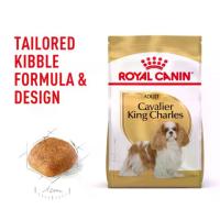 ราคา Royal Canin Breed Health Nutrition Cavalier King Charles Adult 1.5kg อาหารสุนัขโตพันธุ์คาวาเลียร์ คิง ชาร์ลส์ สแปเนียล (1735468538765018946)