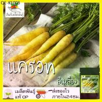 ราคา เมล็ดพันธุ์ แครอท สีเหลือง 300 เมล็ด Solar Yellow Carrot seed เมล็ดพันธุ์แท้ นำเข้าจากต่างประเทศ ปลูกผัก สวนครัว ผักสลัด (1735181790330914615)