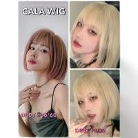 ราคา วิกผมสีชมพูพาสเทล ️calawigs Wig ทรงใหม่ 2021 รหัส D807 วิกผมบ๊อบสั้นตรง สินค้าสวย 100% ตามภาพ. (1735439289243305376)