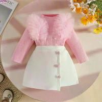 ราคา Baby Girl ClothesTulle Trim 2Pcs Sets 0-3Y Baby Dresses Long Sleeve Top and Button Accent Skirt for Newborn Girls Party Outfit (1734997607567426573)
