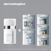 ราคา Dermalogica powerbright overnight cream เดอร์มาลอจิกา พาวเวอร์ไบรท โอเวอร์ไนท์ครีม ลดเลือน จุดด่างดำ รอยสิว ครีมบำรุงช่วงกลางคืน (1729630431835425065)