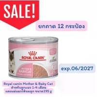 ราคา (ถาด)Royal Canin Mother & Baby Cat Stage2 โรยัล คานิน แม่ให้นมและ ลูกแมว แบบกระป๋อง ขนาด 195 กรัม exp 10/2027 (1735240102154307427)