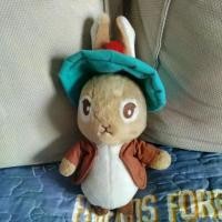 ราคา ตุ๊กตากระต่าย peter rabbit มือ2 สภาพดี (1735172797378168219)