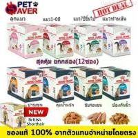 ราคา QesiriChicDewn อาหารเปียกแมว อาหารแมวเปียก อาหารเปียกแมว Royal Canin Pouch Gravy 1 กล่อง (12ซอง) เพ้าซ์ Kitten Urinary Beauty ทุกสูตร (1735107260740372168)