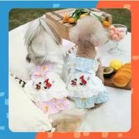 ราคา [ พร้อมส่ง] ชุดกระโปรงสัตว์เลี้ยง Little Red Riding Hood Dress ชุดกระโปรงแมว หนูน้อยหมวกแดง (1734446292718421163)