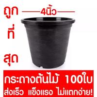 ราคา กระถางต้นไม้ กระถางพลาสติก ขนาด 4 นิ้ว 100ใบ กระถางกลม กระถางต้นไม้พลาสติก กระถางปลูกต้นไม้ กระถางดำ กระถางพลาสติกดำ Flower pot (1735531297614431734)