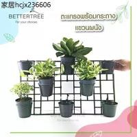 ราคา ตะแกรงพร้อมกระถางดำ แขวนผนัง สามารถใส่กระถางขนาด 4 นิ้วได้ สวนแนวตั้ง ต้นไม้ (1735325887994037473)