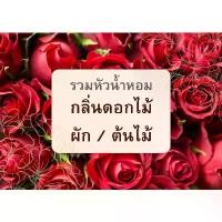 ราคา มีบริการเก็บปลายทาง ที่นิยมมากที่สุด รวมหัวน้ำหอมกลิ่นดอกไม้ / ผัก / ต้นไม้ ต่างๆ 30 cc. หลากหลายกลิ่น กลิ่นดอกไม้ไทย ดอกไม้ ดอกไม้ไทย (1735395594767926976)