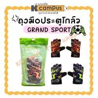 ราคา ถุงมือประตูโกล์ว ถุงมือผู้รักษาประตู GRAND SPORT รุ่น ไก่ชน มี 2 สี คละสี (ราคา/คู่) | เคแคมปัส เครื่องเขียน (1735357991566935094)