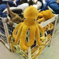 ราคา Ikea - ตุ๊กตาปลาหมึกตัวเดียวกัน ของเล่นตุ๊กตา เตียง เพื่อนนอน โยนหมอน แฟน แฟน ของขวัญ (1729884278173436421)