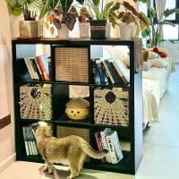ราคา ชั้นวางของ, ชั้นหนังสือ 9 ช่อง, ตู้ลิ้นชัก, ชั้นวางของ, ตู้ข้าง, ตู้เก็บของแบบตาราง, ตู้ข้างเตียง, ตู้ขนาดเล็ก, ตู้เก็บของ โครง ตะกร้า หวาย อเนกประสงค์ เส้น เทียม (1734243185483875329)