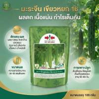ราคา 【โปรโมชั่นสุดร้อน!】 【สินค้าขายดีอันดับ 1】 ☼มะระจีนลูกผสม เขียวหยก 16 F1 เมล็ดพันธุ์ มะระจีน ตราศรแดง บรรจุ 100 กรัม♬ (1735439637822014667)