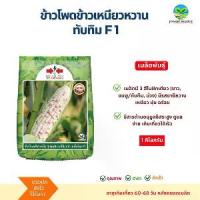 ราคา เมล็ดพันธุ์ ข้าวโพดข้าวเหนียว F1 "เหนียวหวานทับทิม"ขนาด 1 กิโลกรัม ตราศรแดง (1733928576513509236)