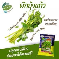 ราคา เมล็ดพันธุ์ ผักบุ้งแก้ว ผักบุ้งเย็นตาโฟ (1729664805268785287)
