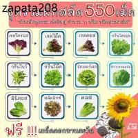 ราคา (รวม 550 เมล็ด) เมล็ดผักสลัด 11 ชนิด อัตราการงอก 95% (แถมฟรี!!! เมล็ดดอกทานตะวัน) เมล็ดพันธุ์ผัก เมล็ดพันธุ์ เมล็ดผัก เม (1735487693182371803)