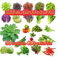 ราคา เมล็ดผักสวนครัว (400เมล็ด+) เมล็ดพันธุ์ เมล็ดพันธุ์ผักสลัด งอกดี ปลูกผัก สลัด กรีนโอ๊ค คอส ผักชี มีบริการเก็บปลายทาง (1734945648932455988)