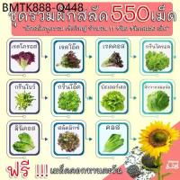 ราคา (รวม 550 เมล็ด) เมล็ดผักสลัด 11 ชนิด อัตราการงอก 95% (แถมฟรี!!! เมล็ดดอกทานตะวัน) เมล็ดพันธุ์ผัก เมล็ดพันธุ์ เมล็ดผัก เม (1735134771892160198)