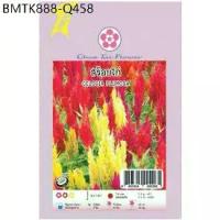 ราคา CELOSIA PLUMOSA เมล็ดพันธุ์ ดอกสร้อยไก่ เมล็ดพันธุ์ ปุ๋ยและเมล็ดพันธุ์ สวนและอุปกรณ์ตกแต่ง CELOSIA PLUMOSA (1735134904565073793)