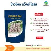 ราคา เมล็ดพันธุ์ ข้าวโพดข้าวเหนียวหวาน แว็กซี่ ไอริส ตราเจียไต๋ 200 กรัม (1733619490669037428)
